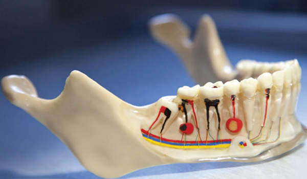 Conservative Dentistry & Endodontics